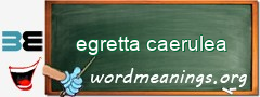 WordMeaning blackboard for egretta caerulea